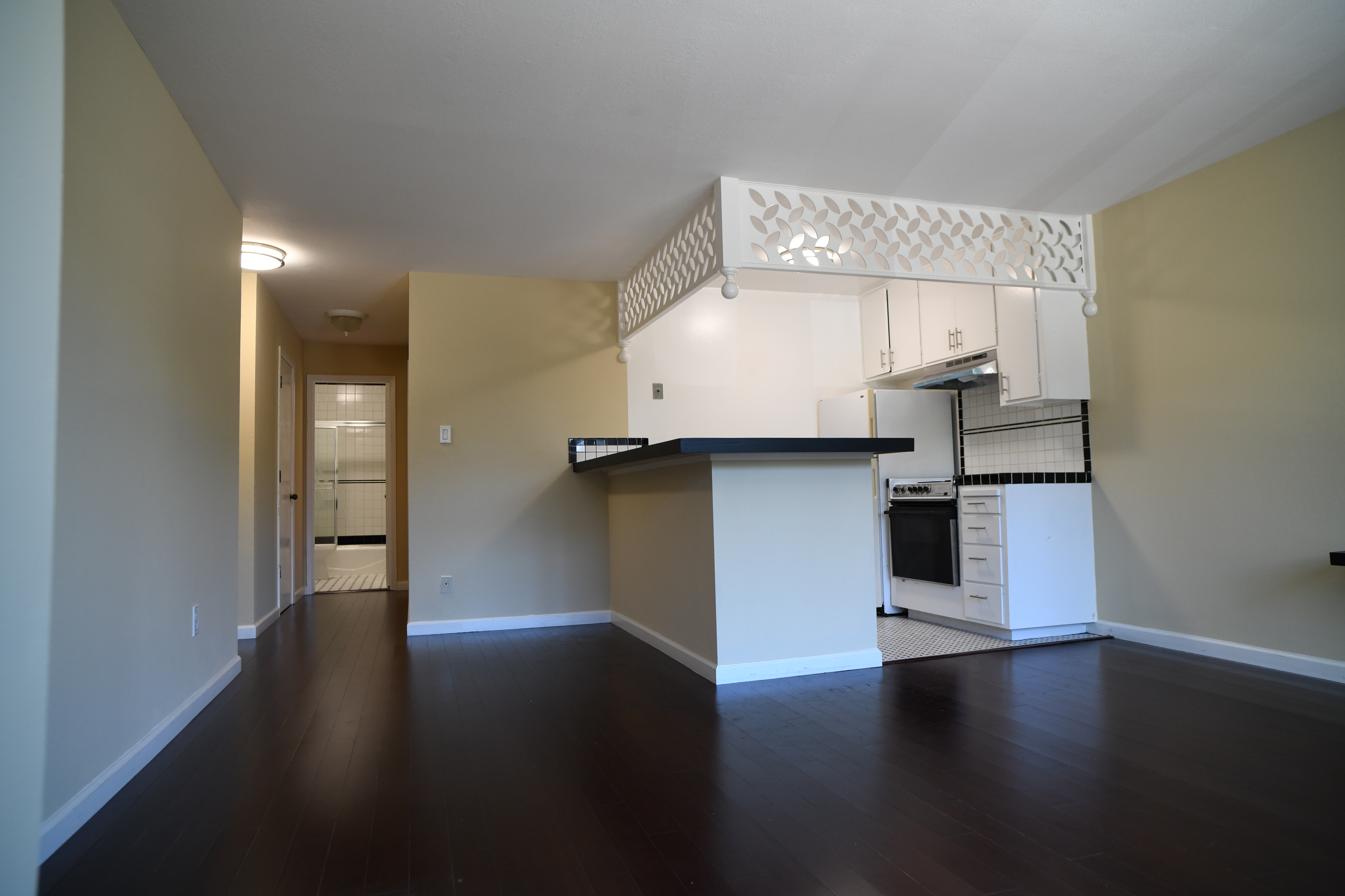 Palm Apt 102