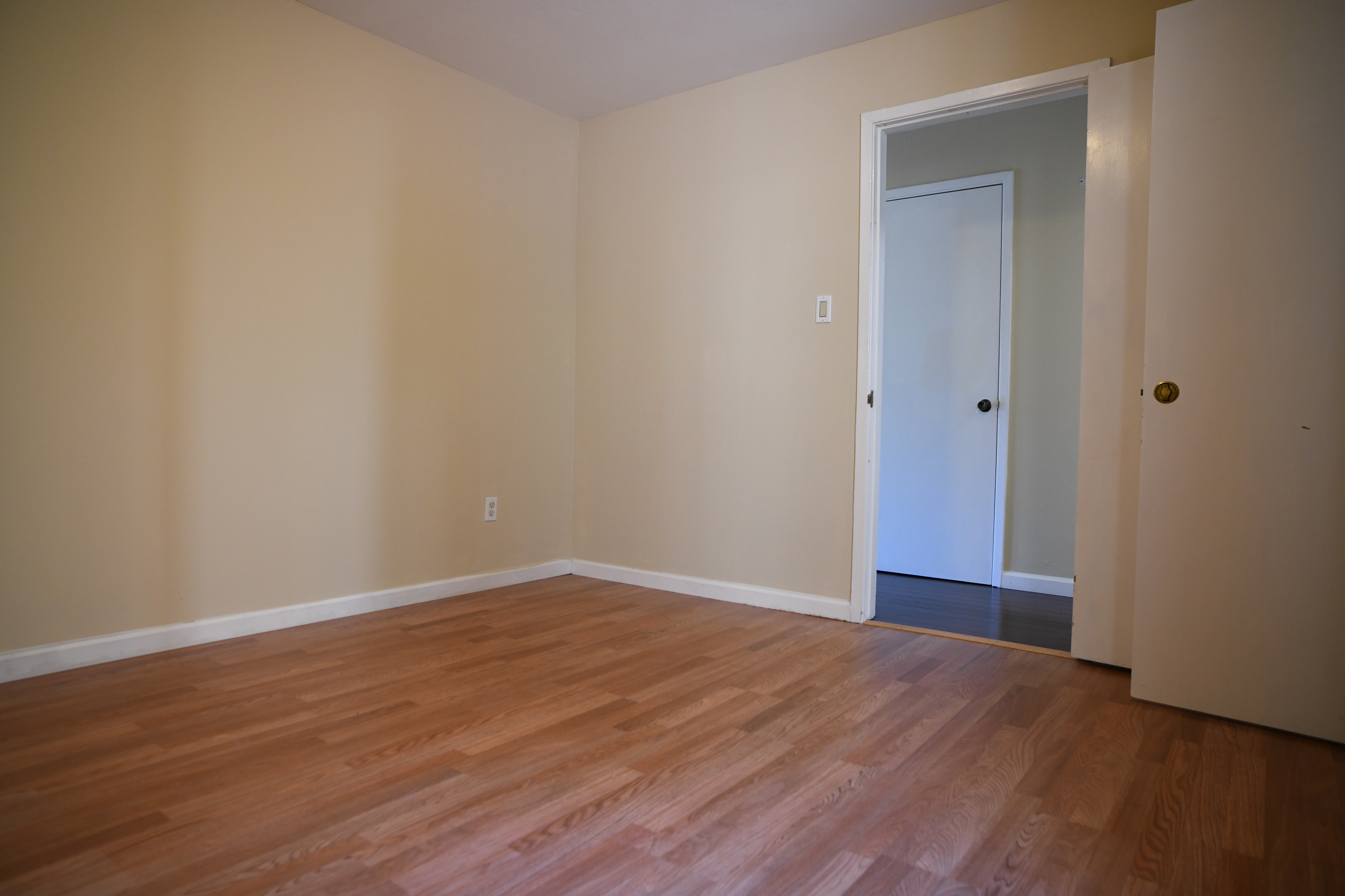 Palm Apt 102