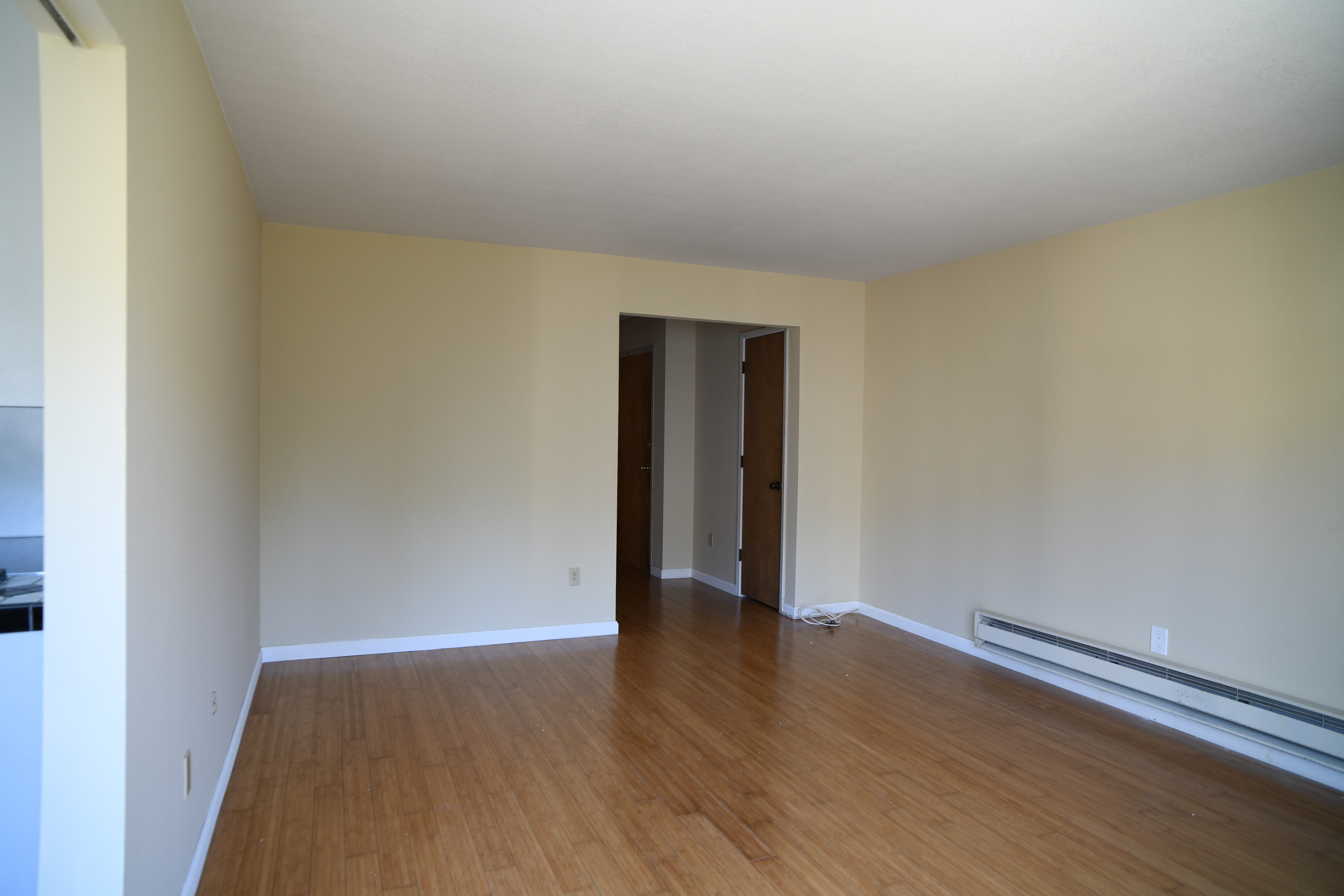 Palm Apt 104