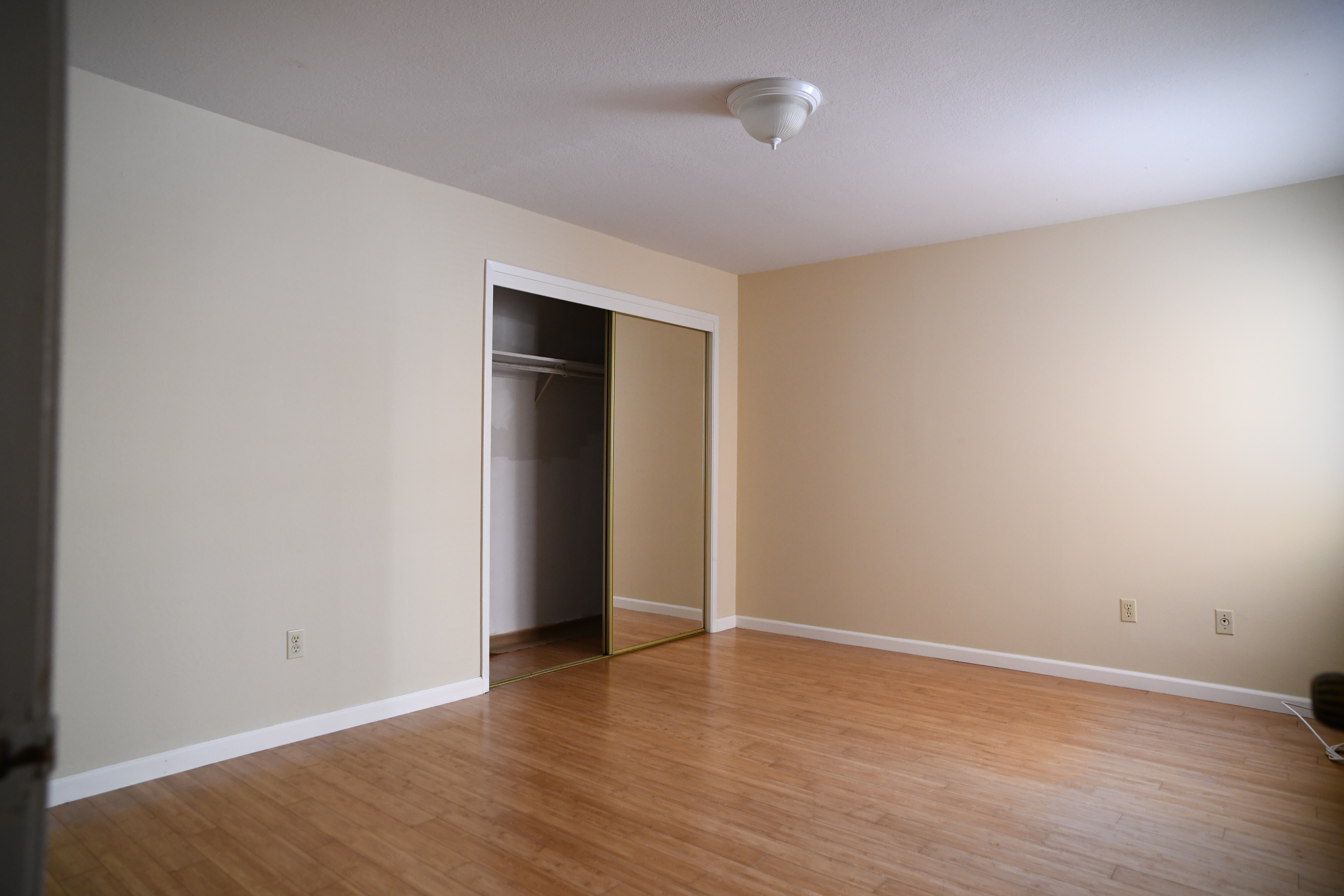 Palm Apt 104