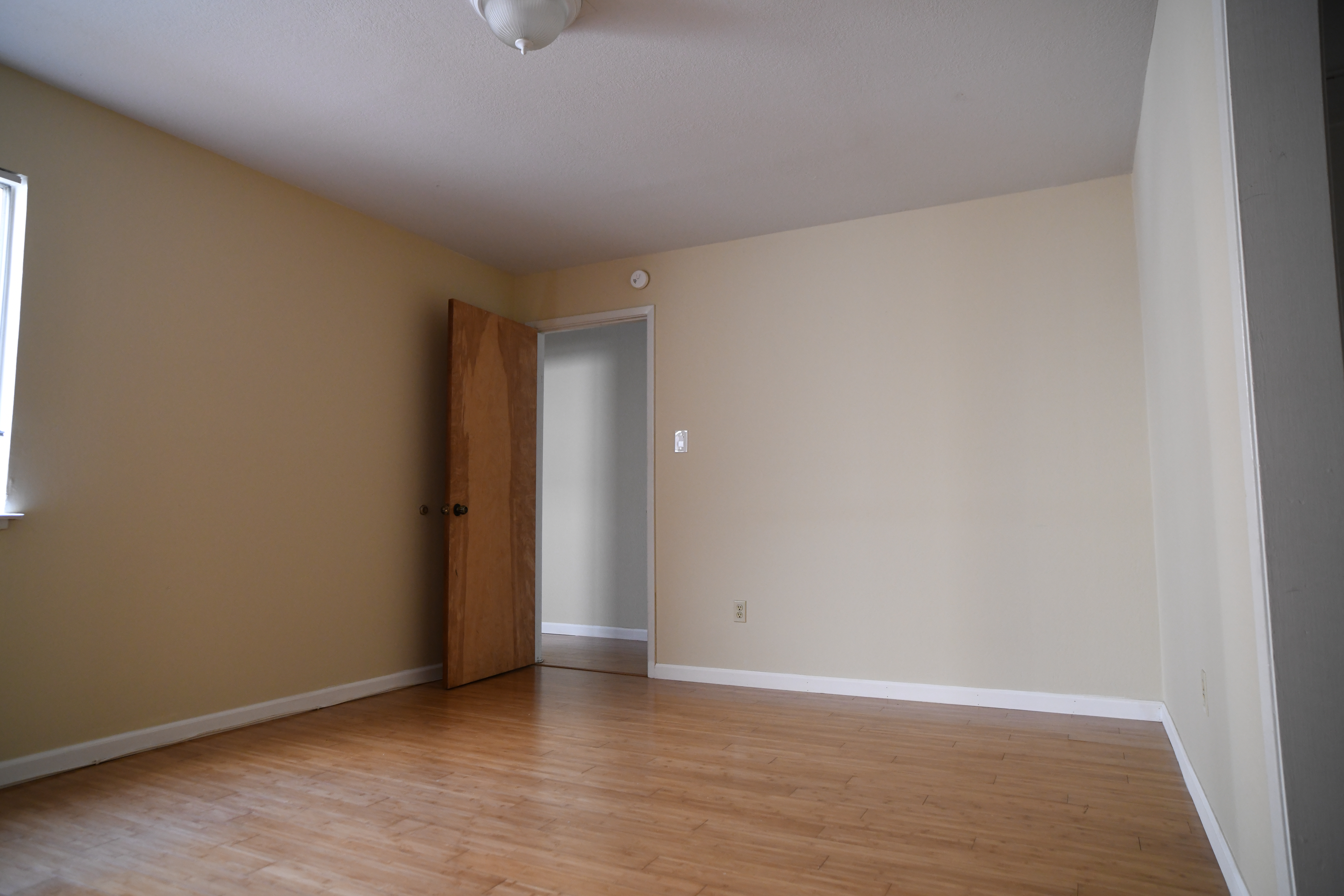 Palm Apt 104