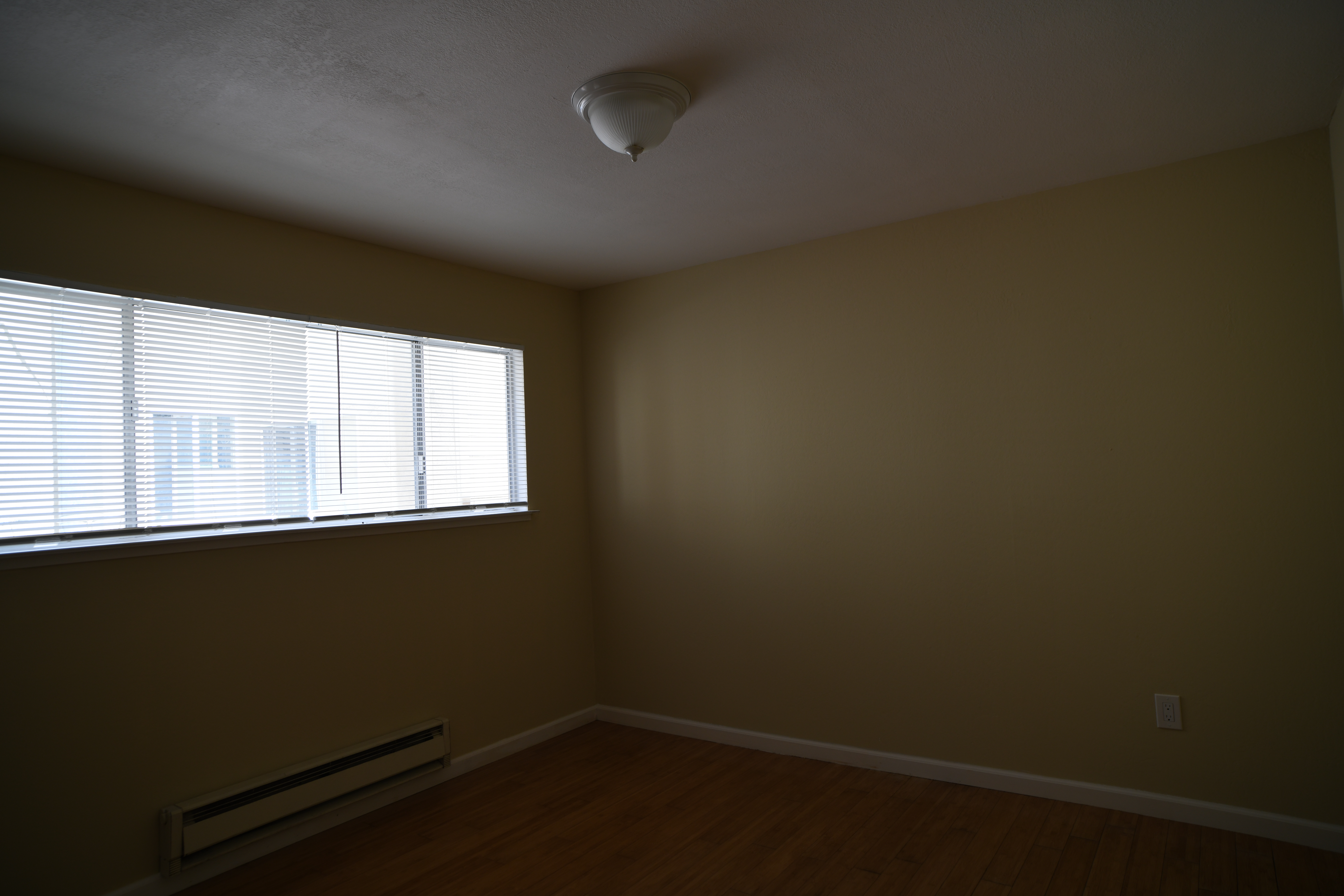 Palm Apt 104