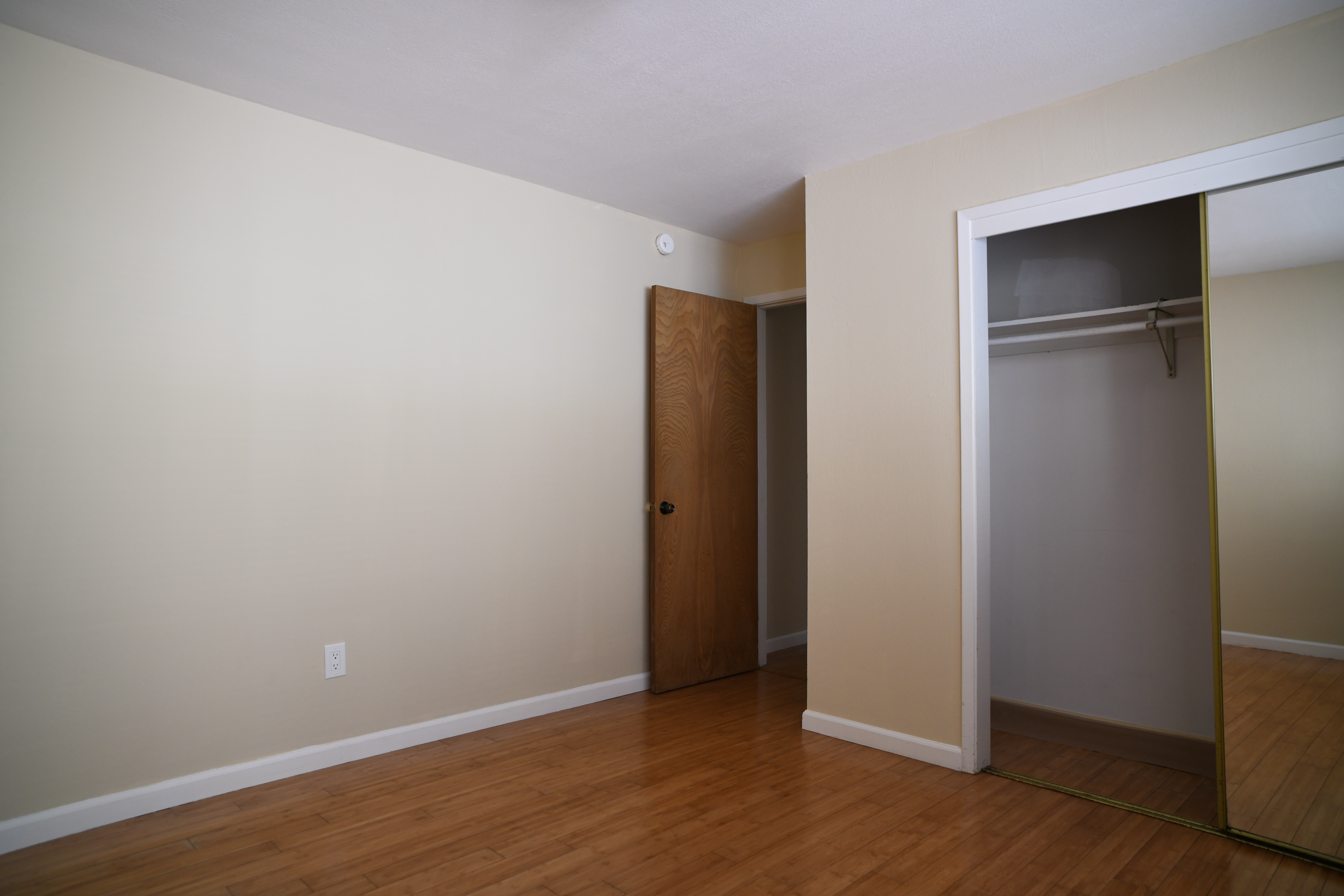 Palm Apt 104