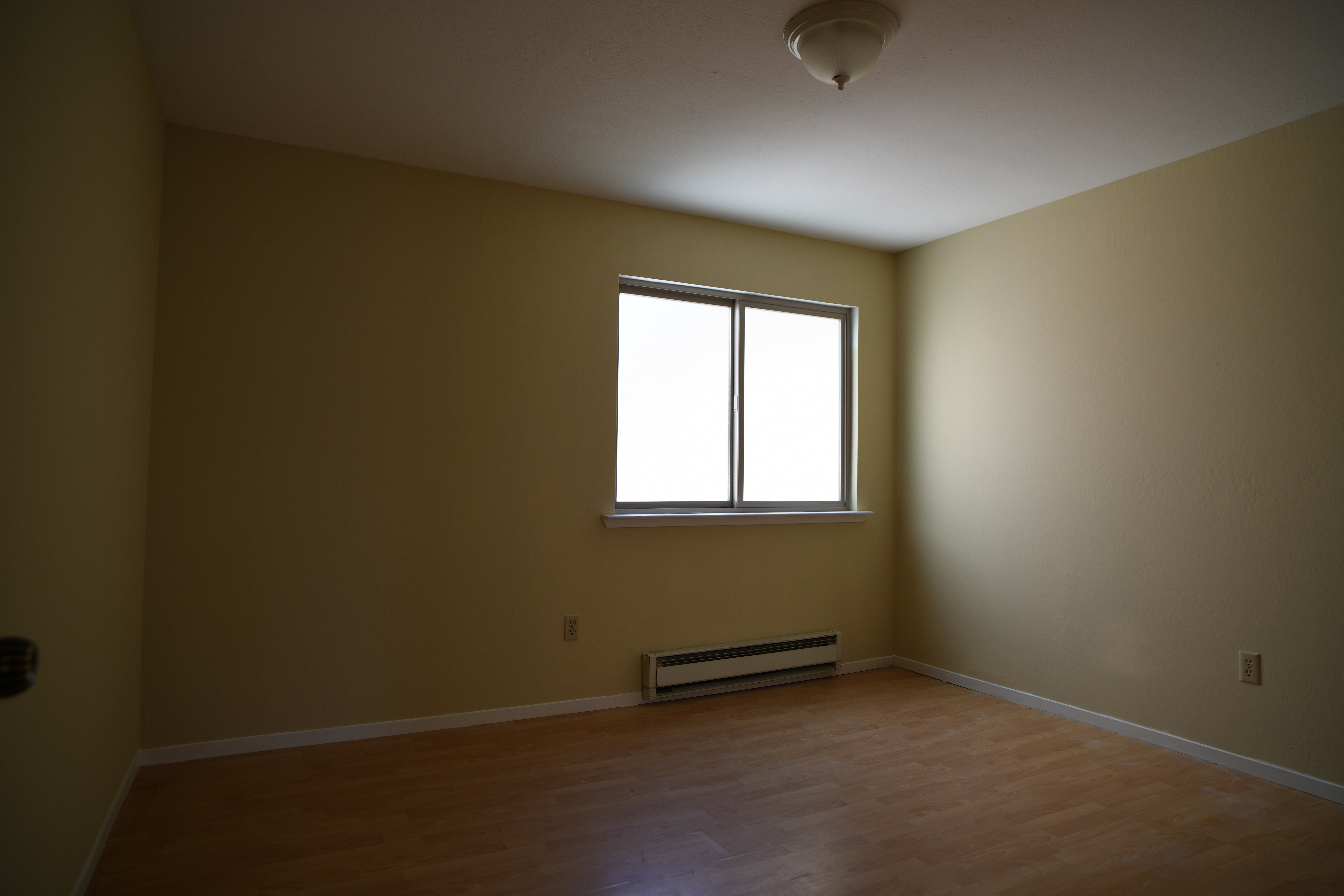 Palm Apt 202